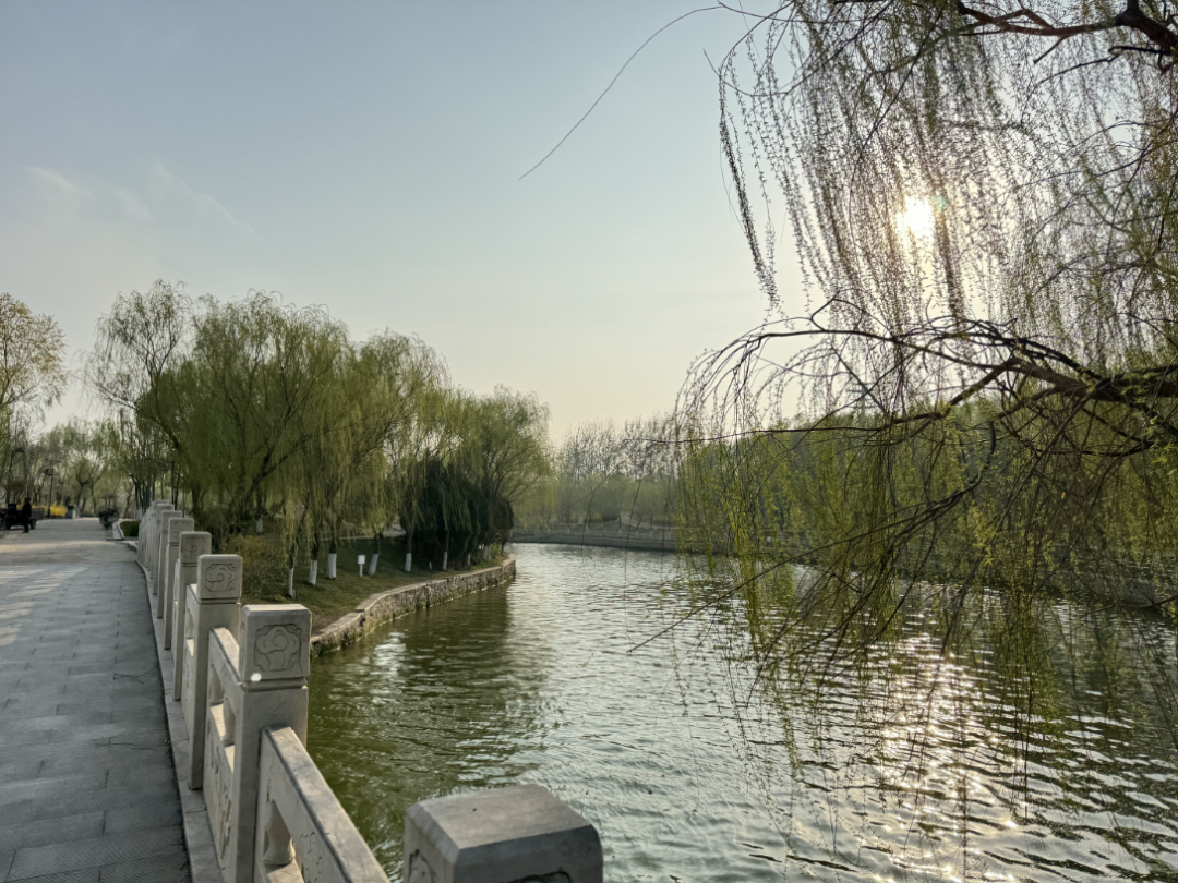 三月的公主湖,春光如诗