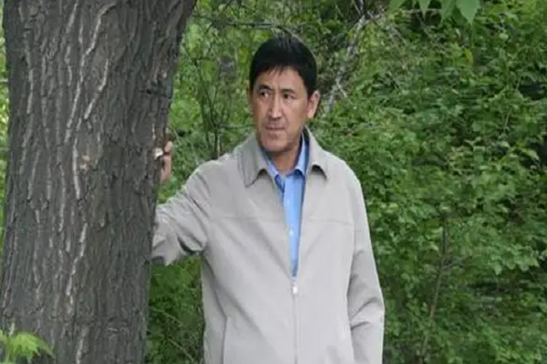 马赛雨桐是什么电视剧的?