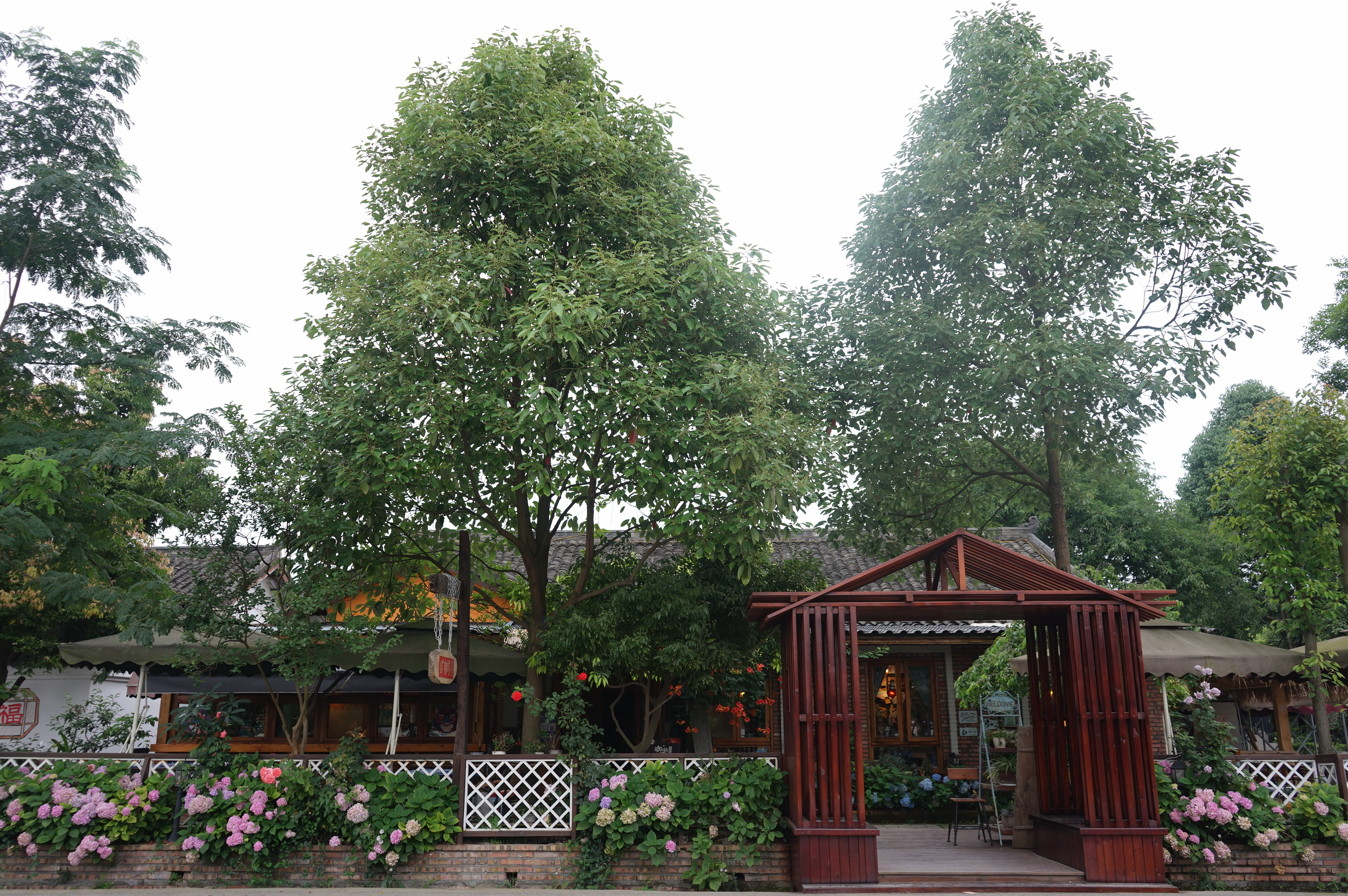 「创建天府旅游名县」绵竹咖啡屋里的"人间清欢"