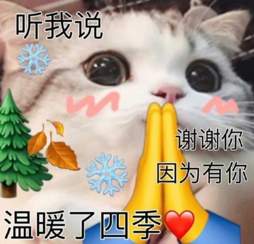 求求别再唱听我说谢谢你了