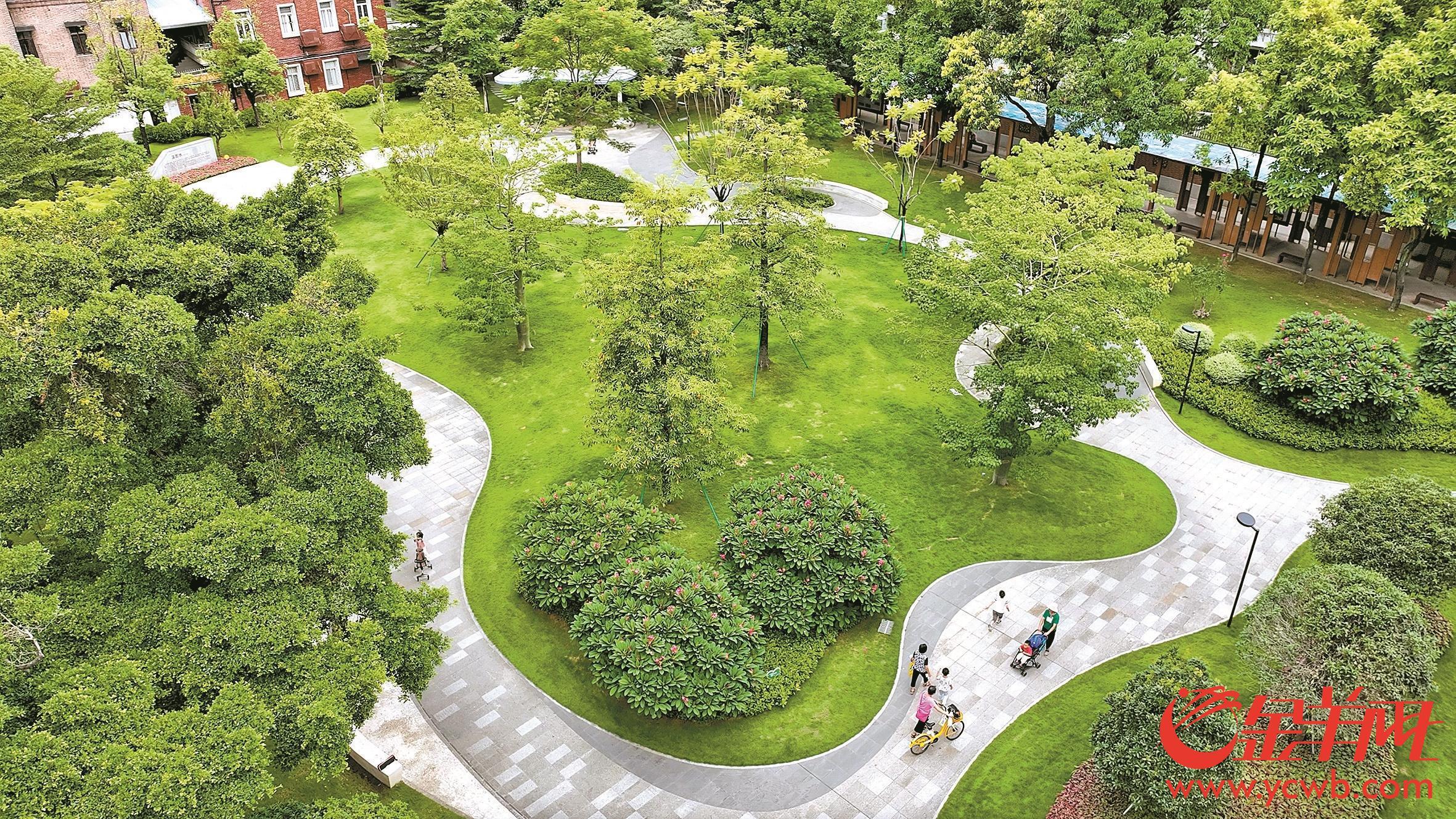 广州马庄巷社区公园:烂尾工地变老城绿洲 精细养护让绿美常在