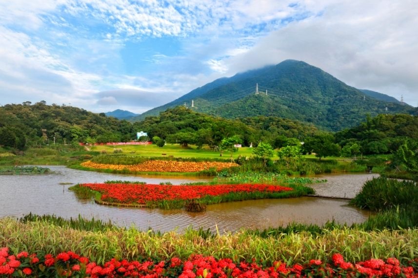 盐田恩上湿地入选广东首批小微湿地示范点