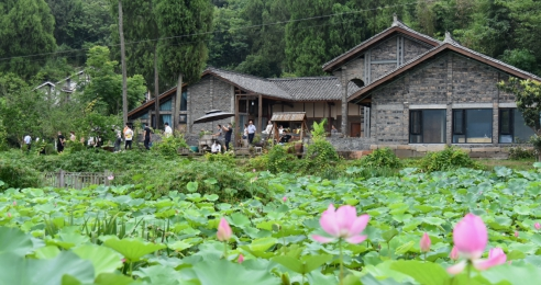 四川南充:着力推动旅游民宿高质量发展