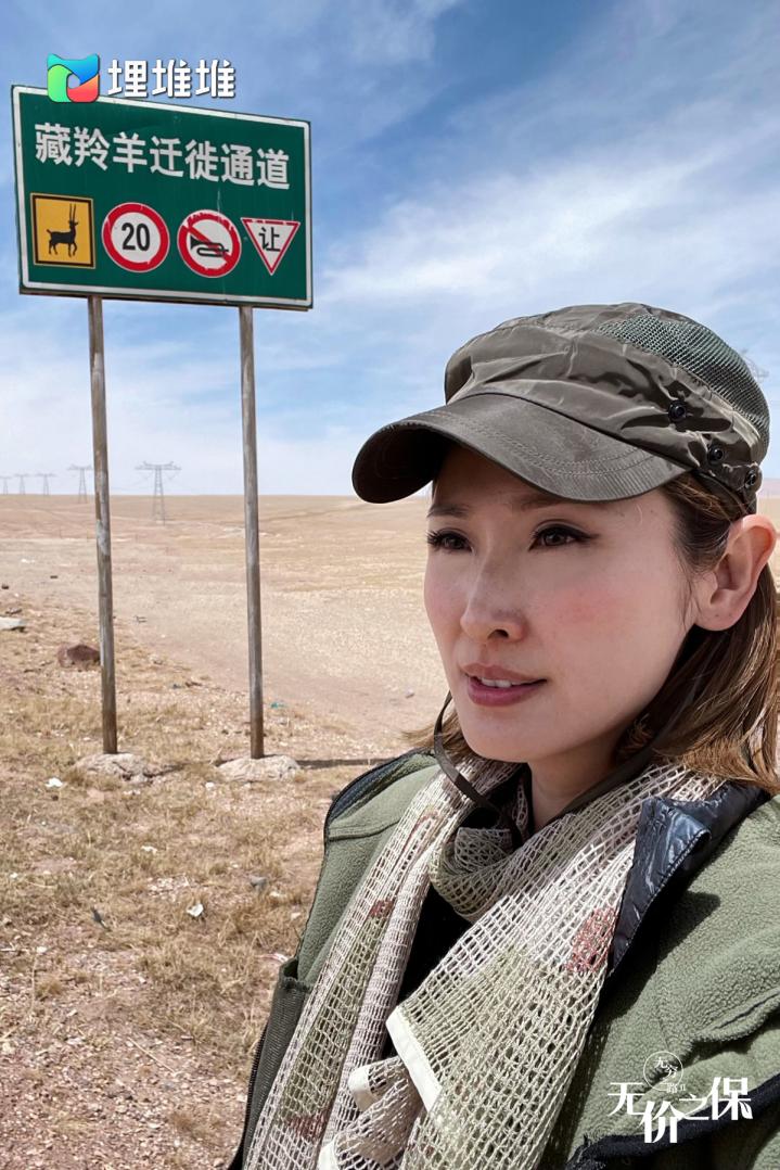 陈贝儿再出发:让海内外观众了解真实中国