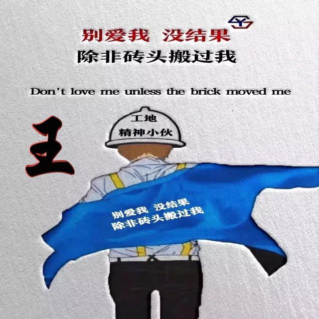 精神小伙:别爱我,没结果,除非砖头搬过我