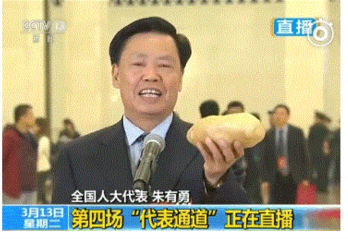 A朱有勇12.png