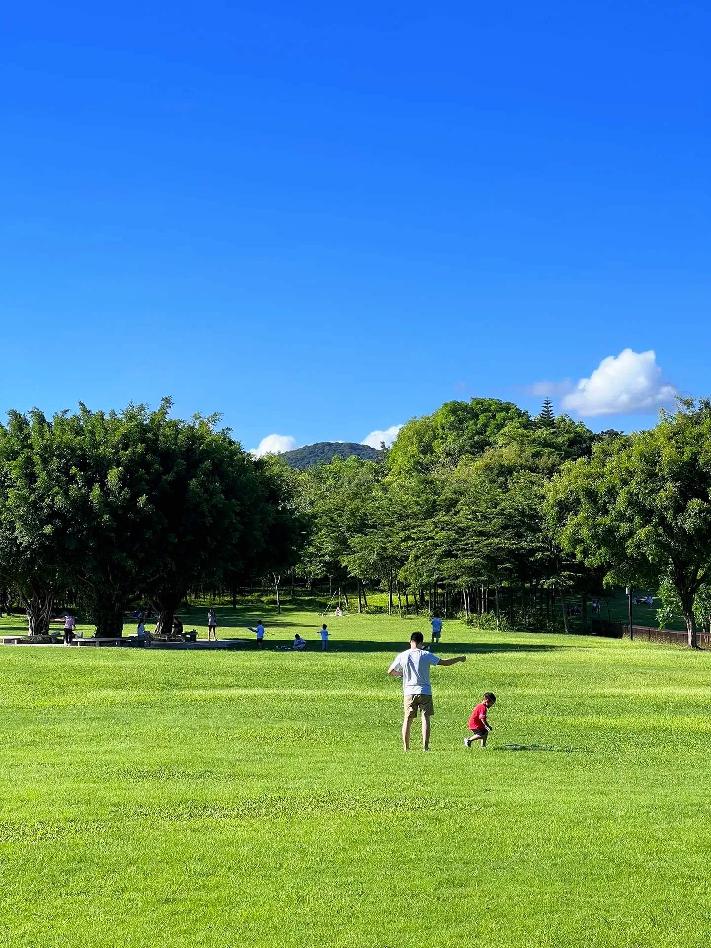 高颜值"无边草原" . 深圳大沙河公园