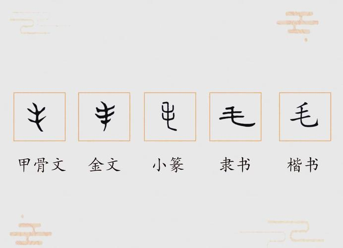 裘,老,毛:从古文字看深厚文化内涵