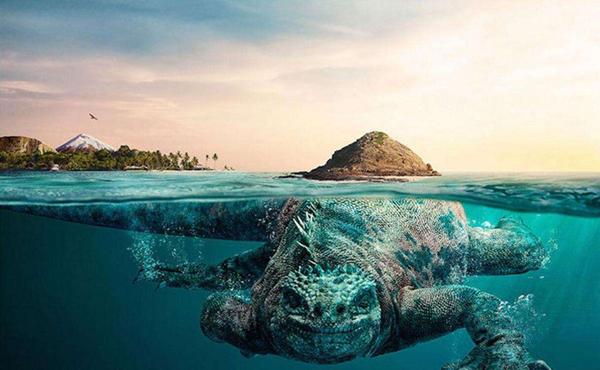 大气生物真的存在吗