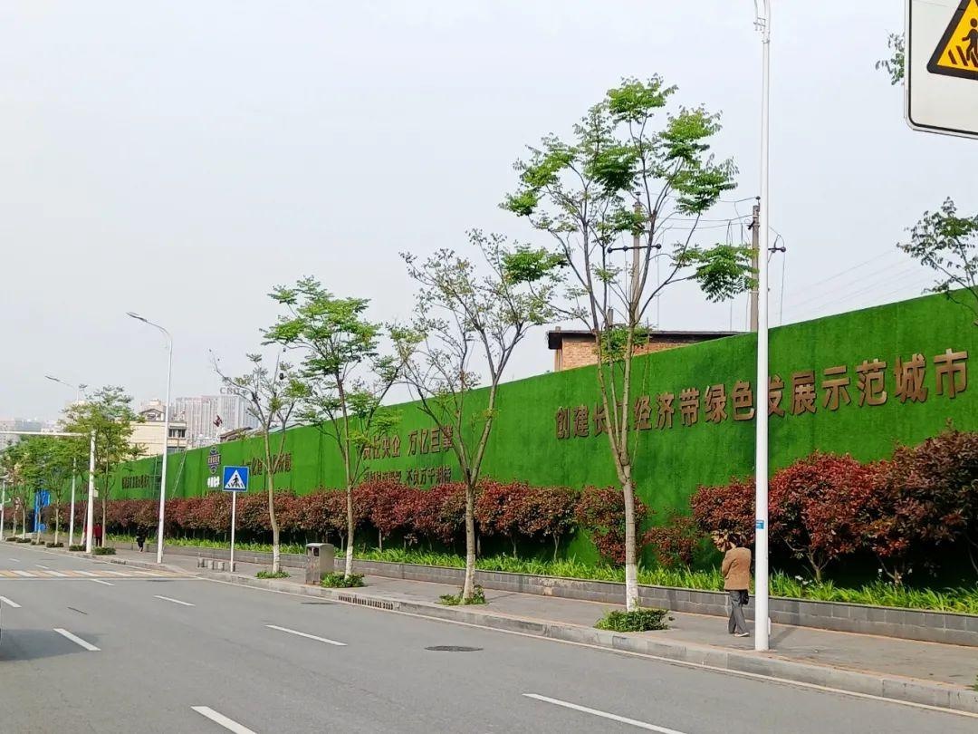 绿色围挡扮靓街头