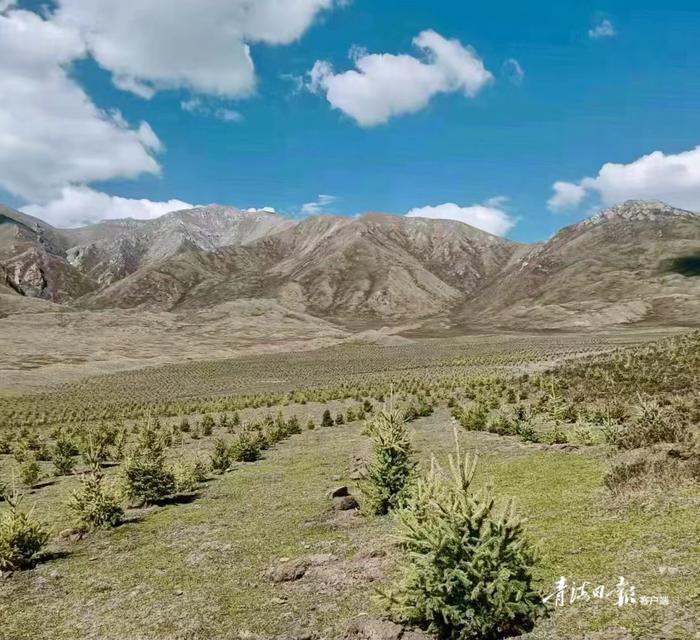 荒山秃岭图片