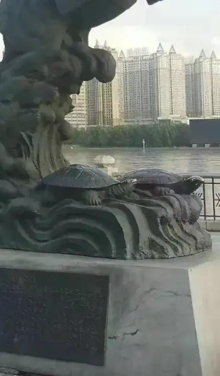吉林市又发生一件新鲜事,奇葩事,一座"立马双龟"雕像下面的两个王八被