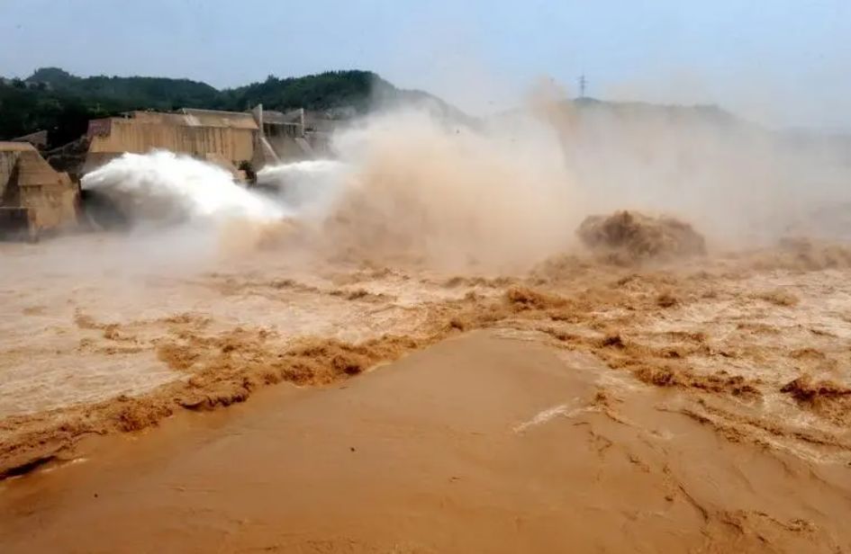 黄河调沙水量达到小高峰大鱼顺流而下村民趁机捞鱼大赚一笔