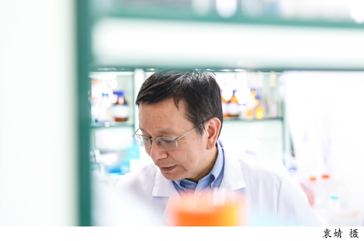"全球高被引学者"徐华强:透析蛋白质结构,走出生命科学"石器时代"