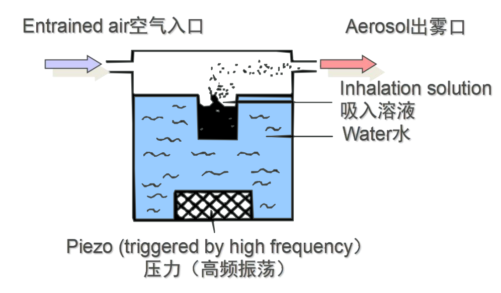 不同类型雾化器的区别在哪？