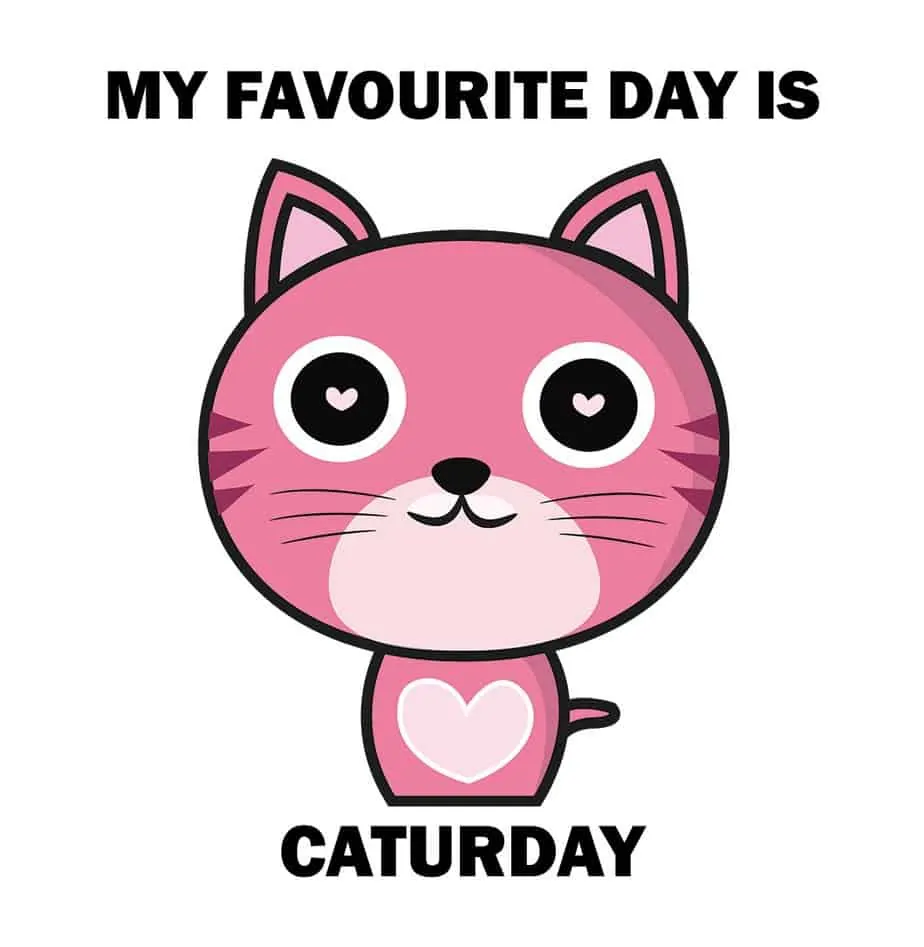 了解sunday,monday这类"星期几"单词的"两面性",能帮我们解决不少疑难