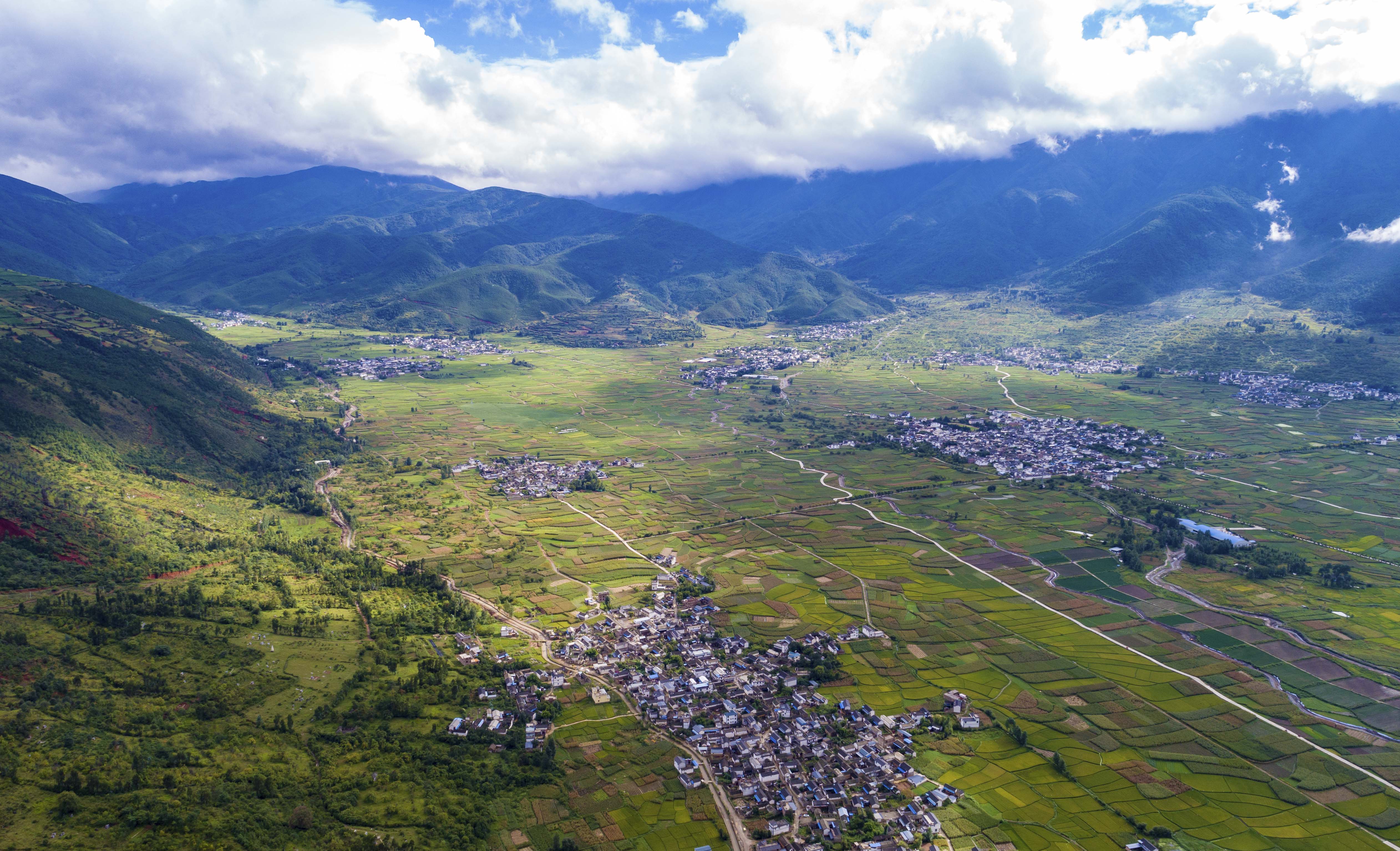 雨后凤羽美如画