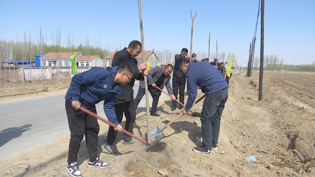 梨树县林海镇:植树造林添新绿乡村振兴增活力