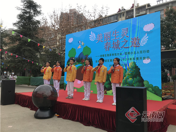 昆明南站小学新校区图片