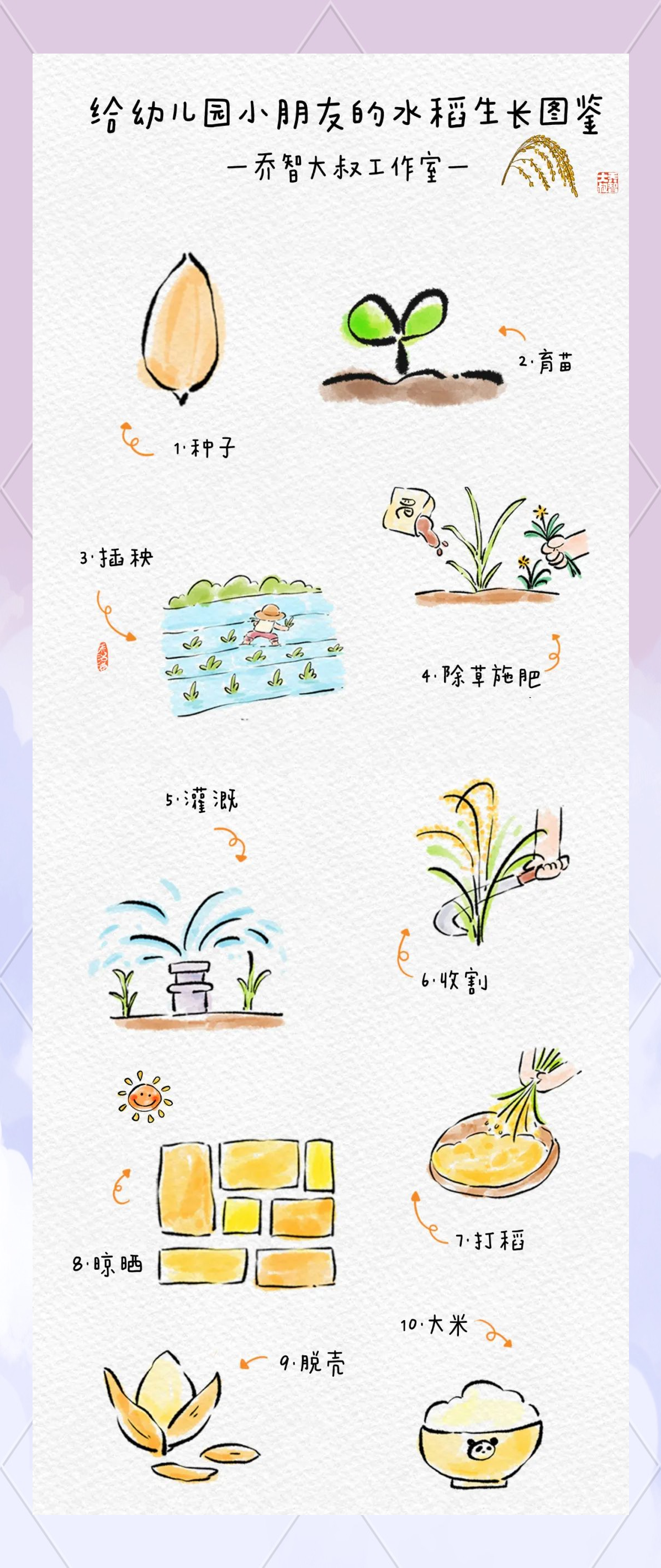 水稻生长全攻略:从种子到餐桌的艰辛旅程