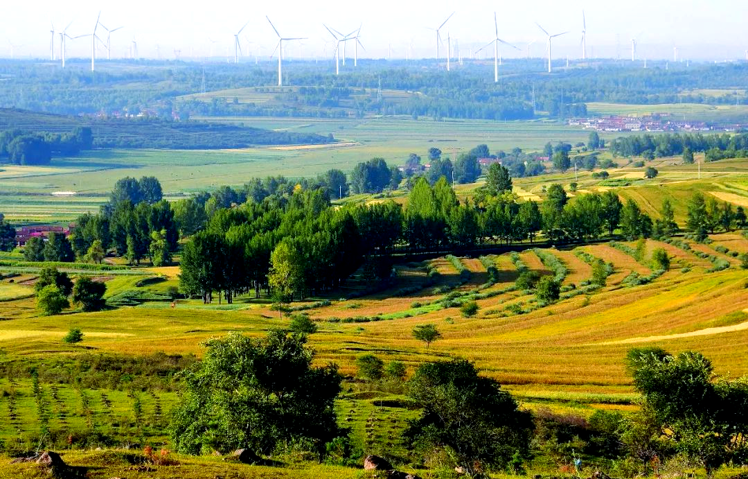 河北张北草原天路:探索塞北风光与美食之旅