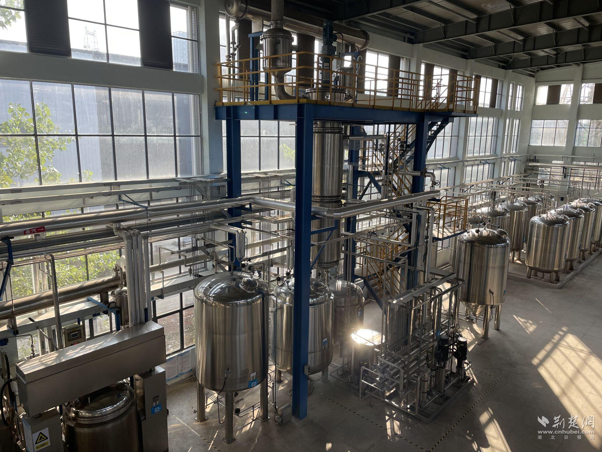 图为武汉爱民制药药物提取车间.记者 郭蔓 摄