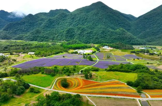 红池坝花海图片