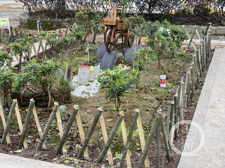 双减下的劳动课竟是这样的 重庆小学生设计制作花园围栏