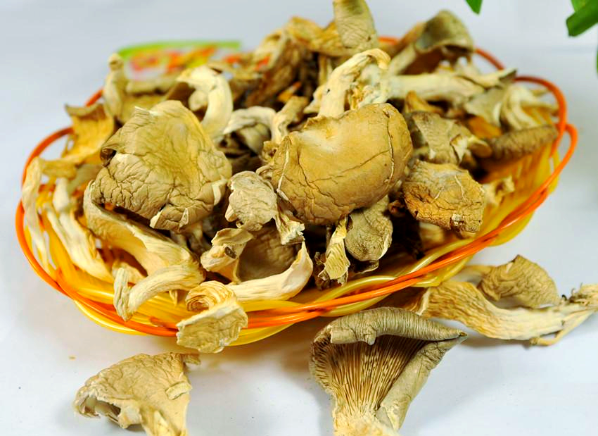 真姬菇的多重魅力:营养,健康与美味烹饪方法