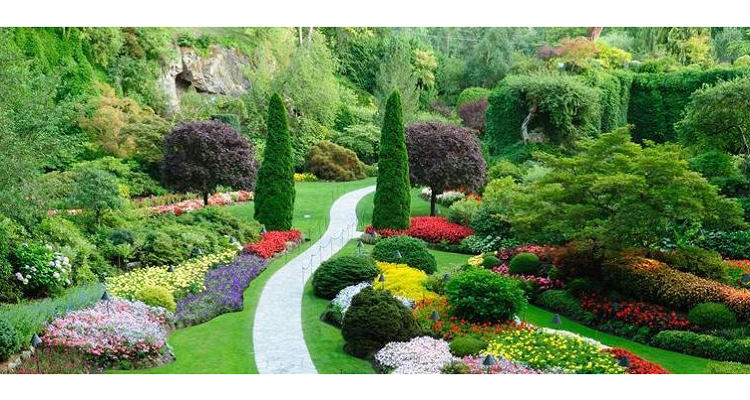 丛植和群植的区别