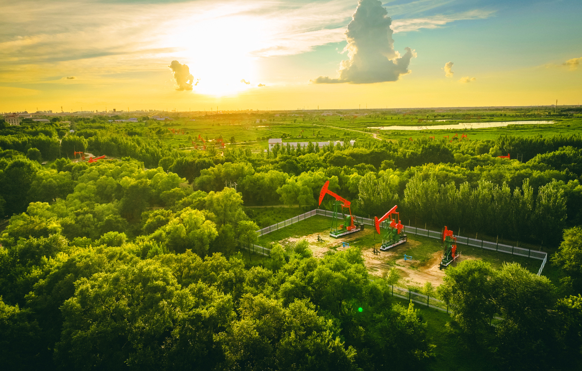 「和谐共生·美丽中国」大庆油田:追青逐绿 向美而行