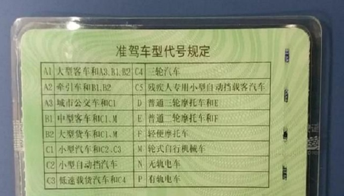 c1e是什么驾照图片