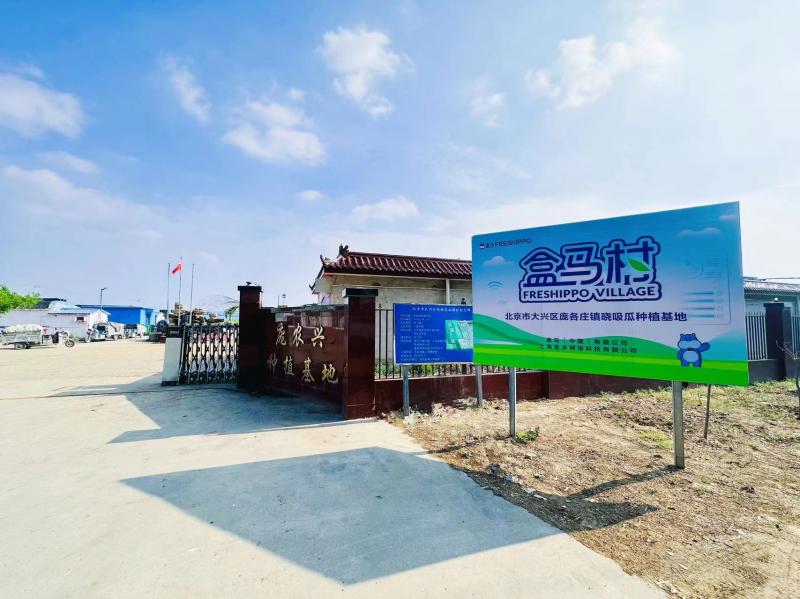 北京大兴庞各庄与盒马签约 消费者最快6小时即可吃上新鲜西瓜