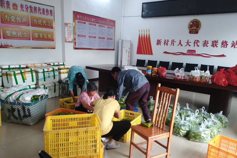 广西钦州商贸学校:特色帮扶促增收 撑起村民致富路