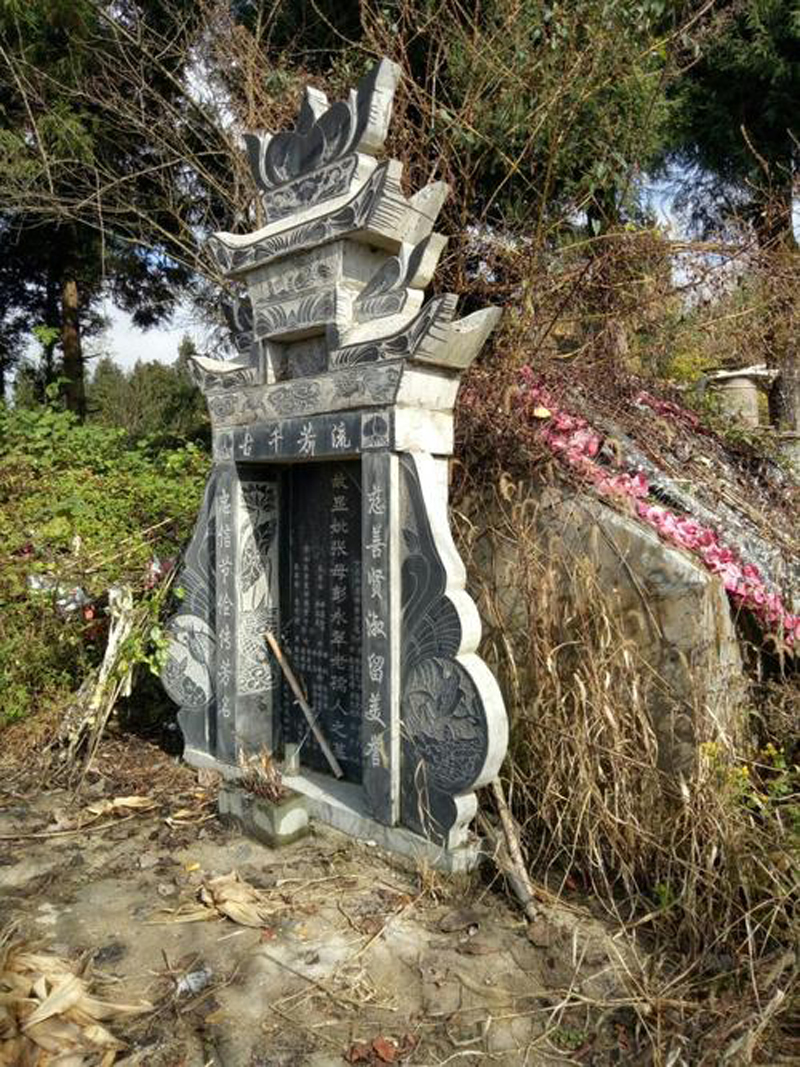 程地明:有名的捕蛇人,却被蛇"追杀"5年,他到底对蛇做了什么