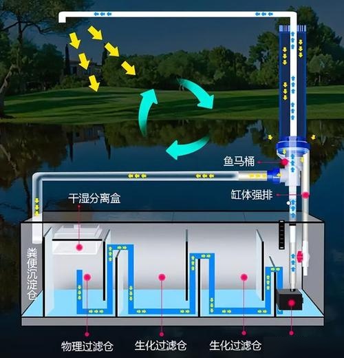 鱼缸水循环示意图图片