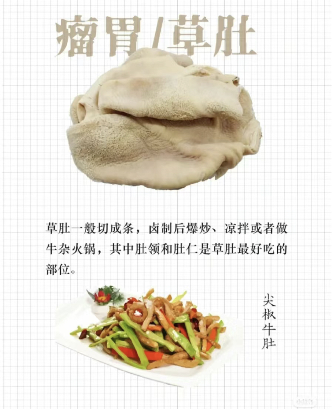 2,功能不同:毛肚是牛的消化器官,百叶是食物的储藏