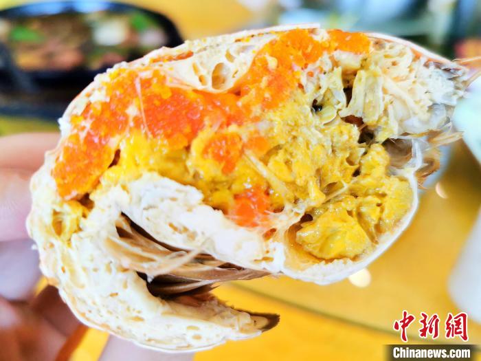 中秋前后到广东侨乡台山"蟹后"独特的鲜美