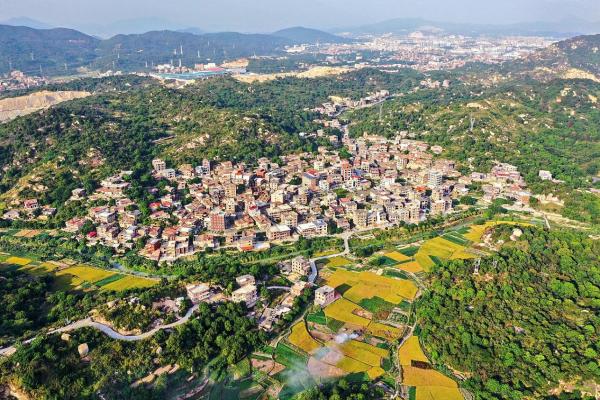 南安霞美沃柄村:以和谐促发展 绘就美丽幸福画卷