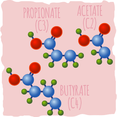 短链脂肪酸的功效让你想不到!