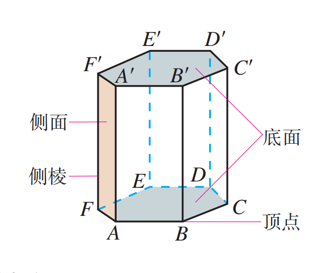 正棱柱的定义和常见性质总结