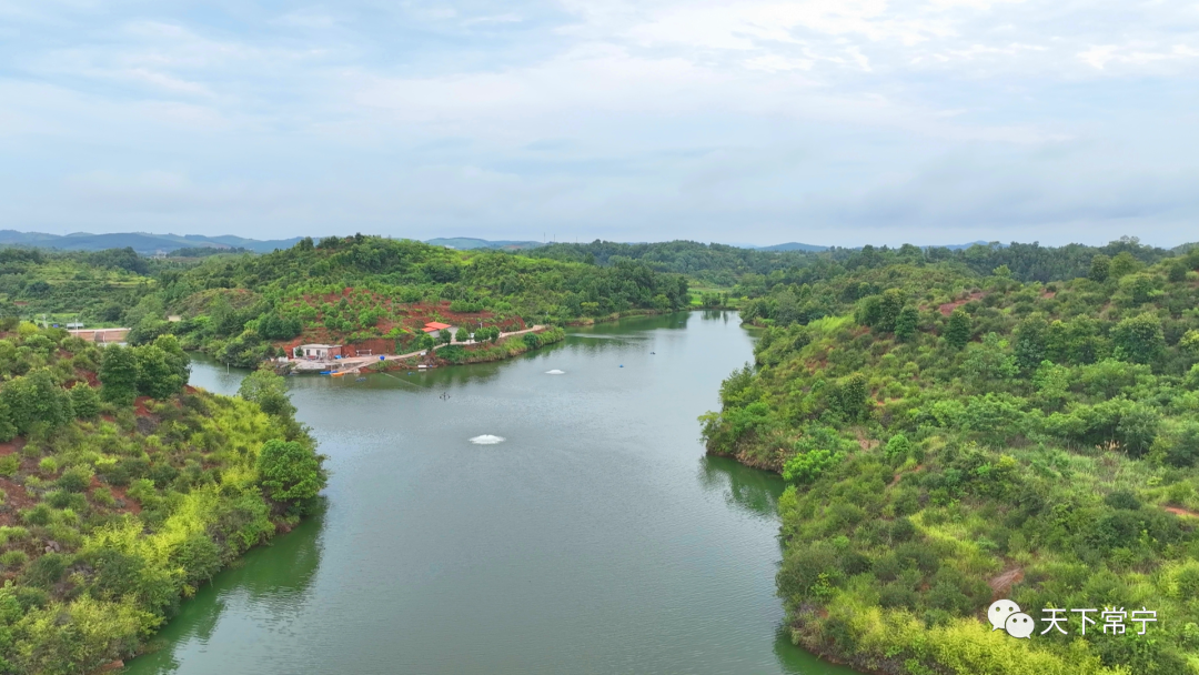 「视频」柏坊镇新柏村:集体产业"多点开花" 绘出乡村振兴新画卷