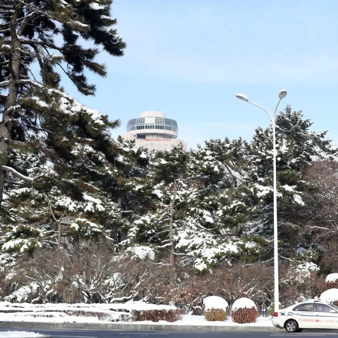 走进长春100个网红打卡地之新民大街