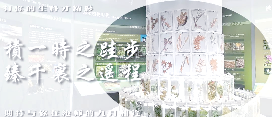 生命科学专业就业前景,生命科学专业以后找什么工作