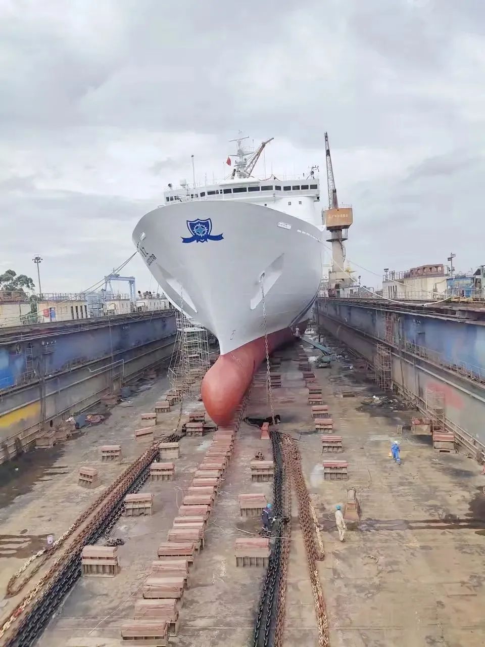 中远之星:节能降碳,绿色发展,我们这样做