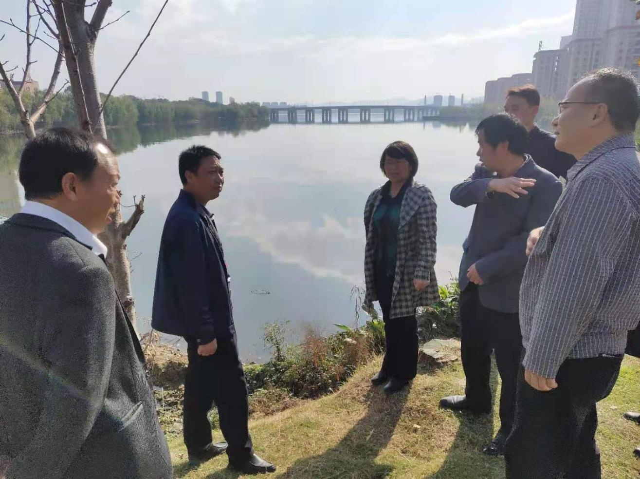 市城管委主任闵远良调研城市黑臭水体整治和城区生活污水治理工作推进