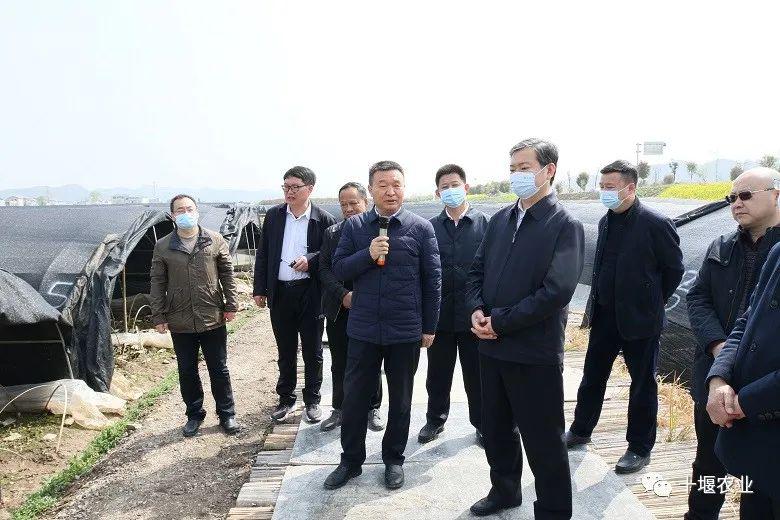 马朝晖在全市春季农业生产现场会强调把握粮食安全主动权建强重点农业