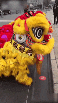 看你尾巴,你是狮子狗??? 第1张