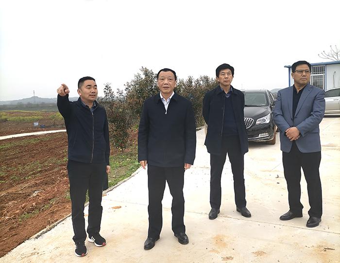 李胜强赴阳新调研农垦春耕备耕和特色产业发展