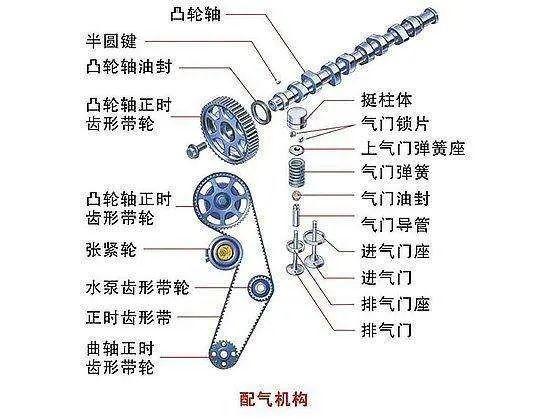 气门芯图片 原理图图片